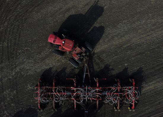 Russia Agriculture Sowing