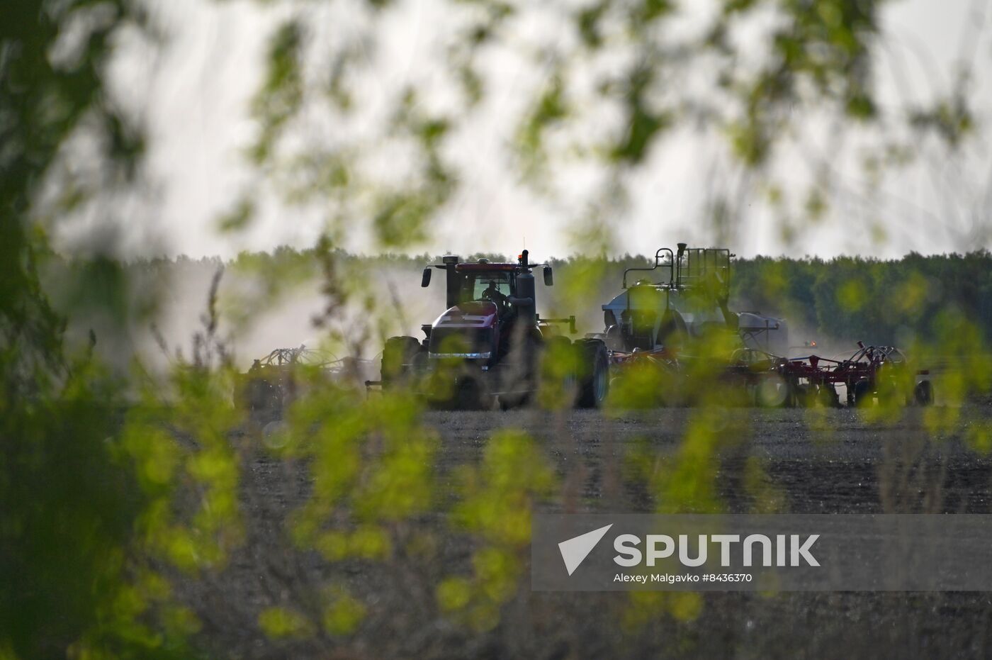 Russia Agriculture Sowing