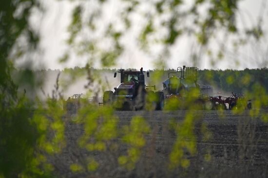 Russia Agriculture Sowing