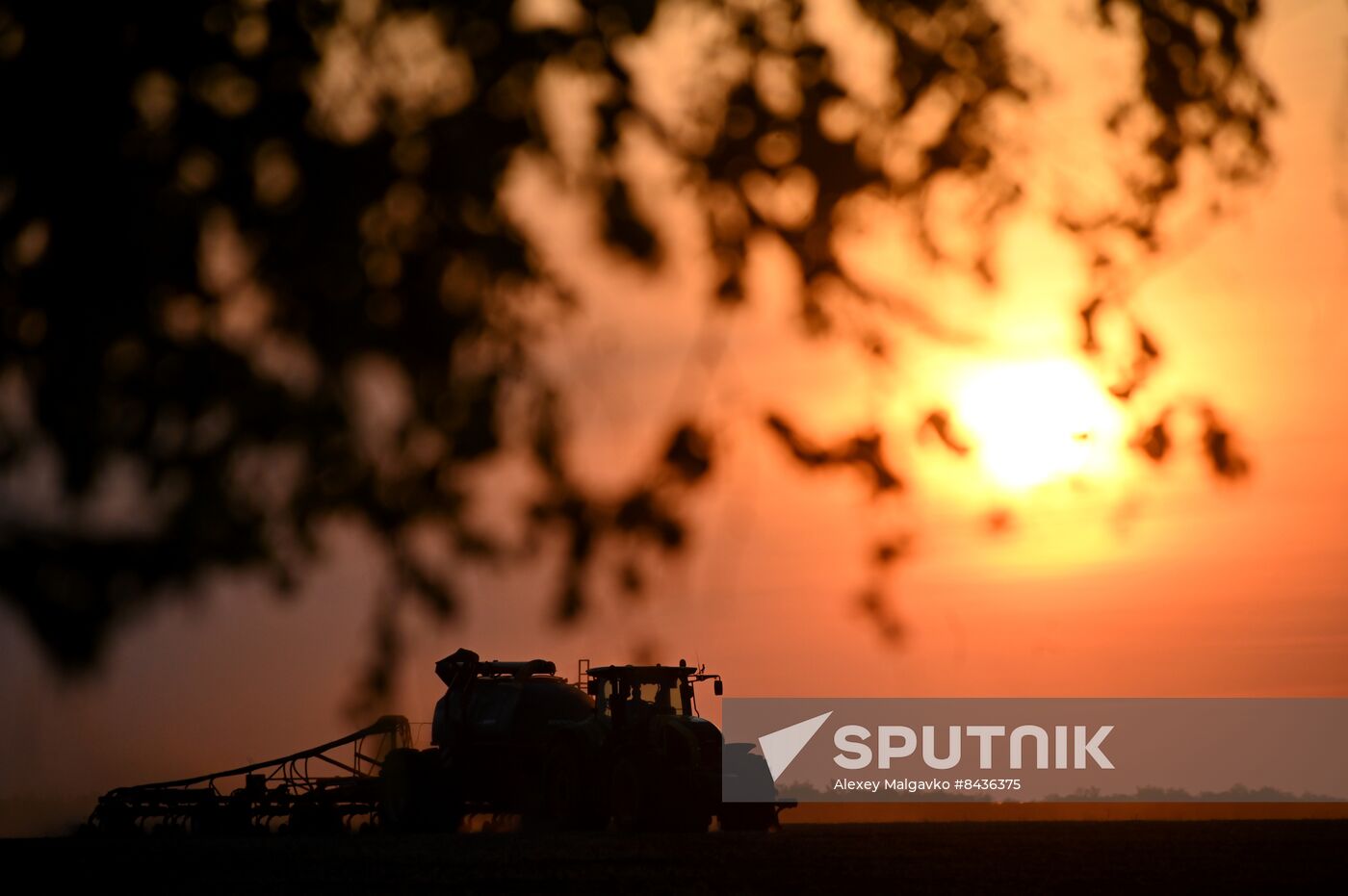 Russia Agriculture Sowing