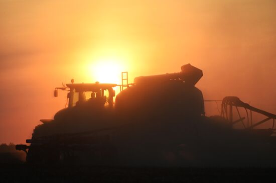 Russia Agriculture Sowing