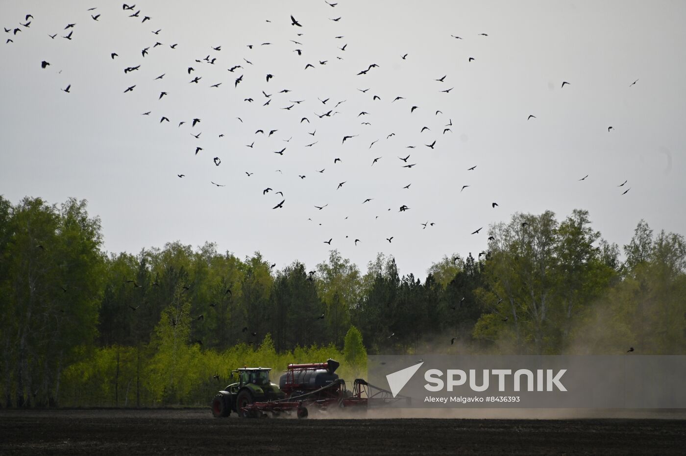 Russia Agriculture Sowing