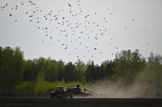 Russia Agriculture Sowing
