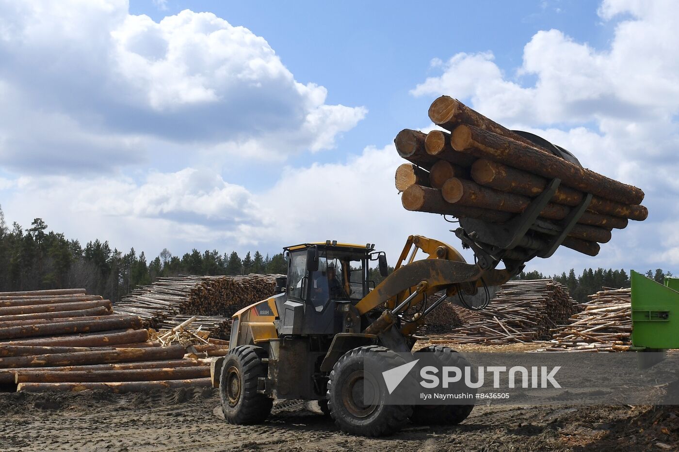 Russia Timber Industry