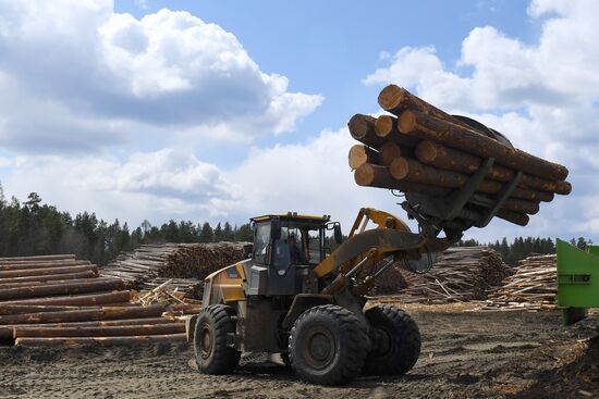 Russia Timber Industry