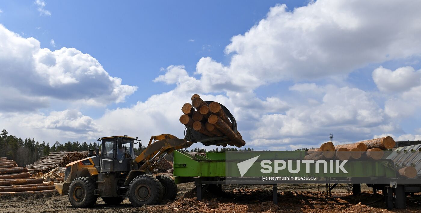 Russia Timber Industry