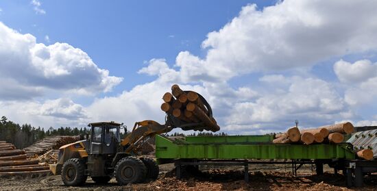 Russia Timber Industry