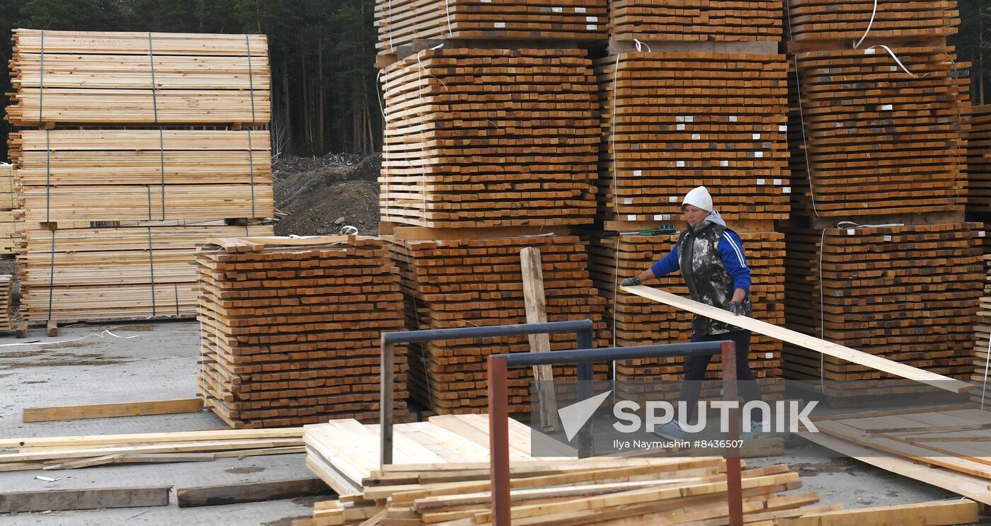 Russia Timber Industry