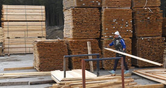 Russia Timber Industry