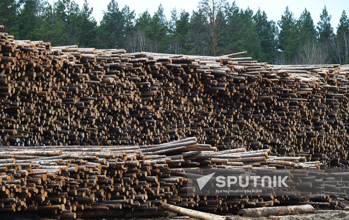 Russia Timber Industry