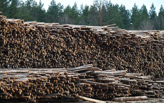 Russia Timber Industry