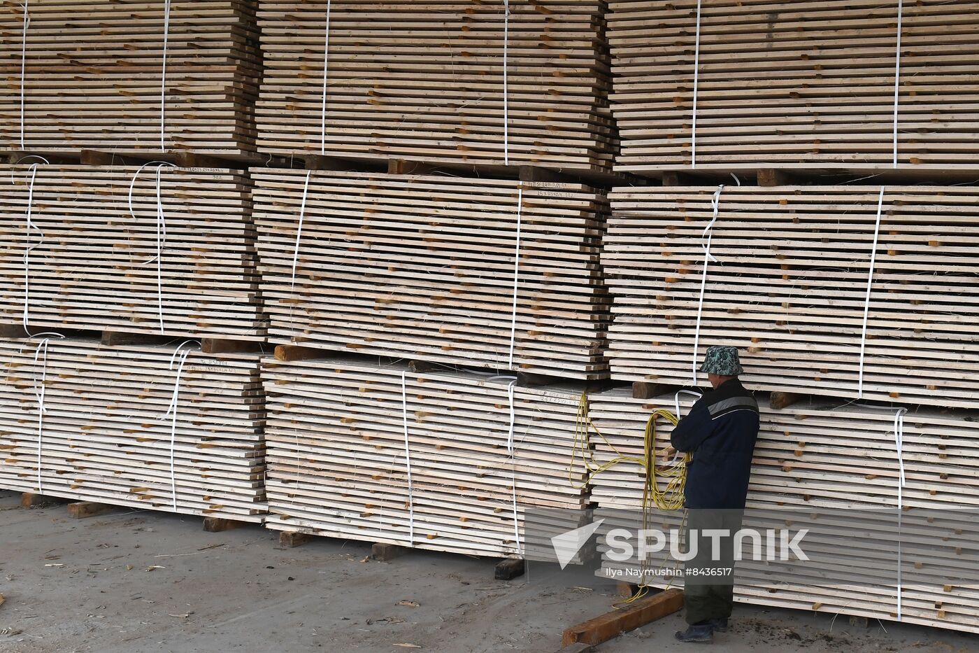 Russia Timber Industry