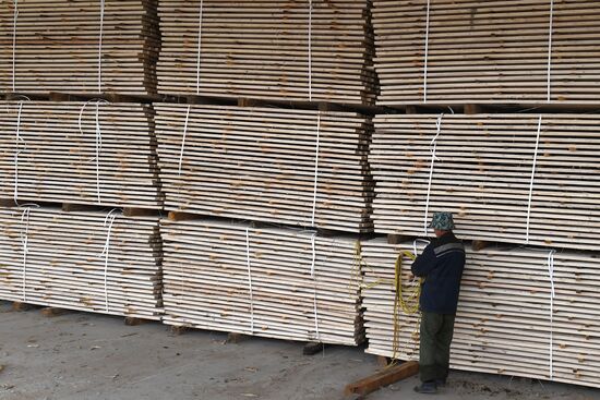 Russia Timber Industry