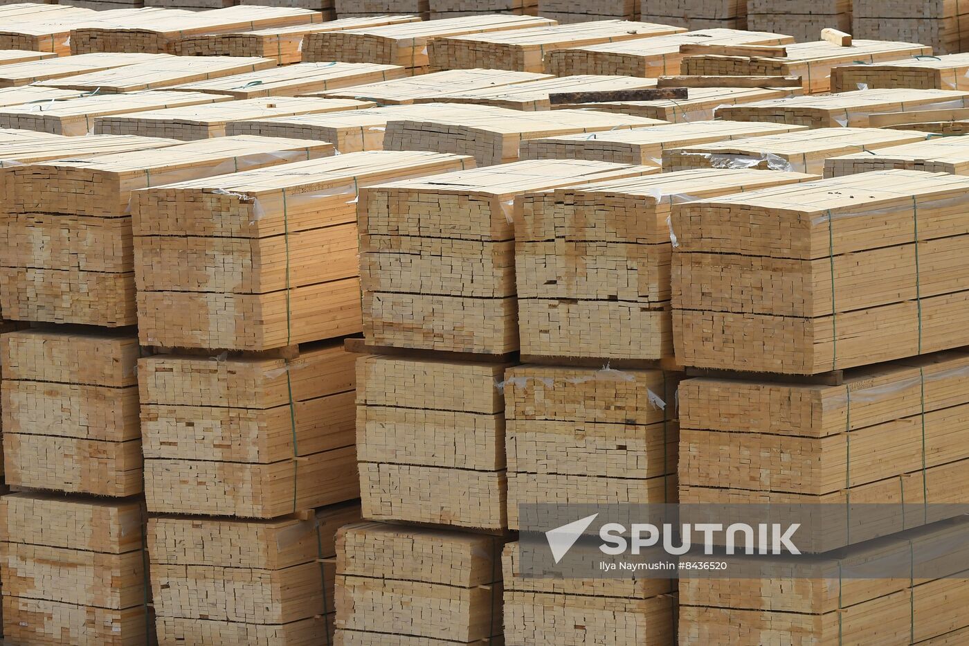 Russia Timber Industry