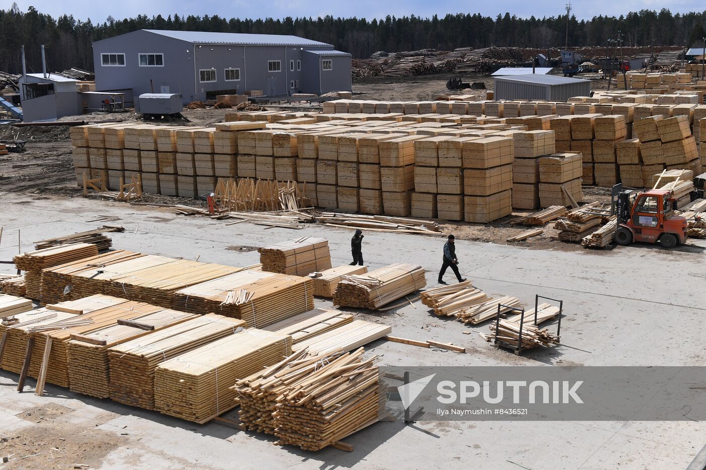 Russia Timber Industry