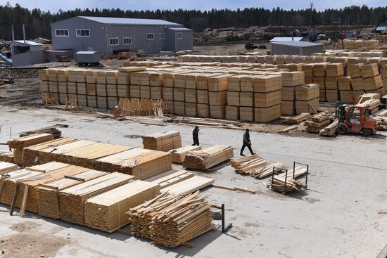 Russia Timber Industry