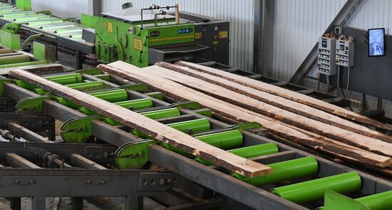 Russia Timber Industry