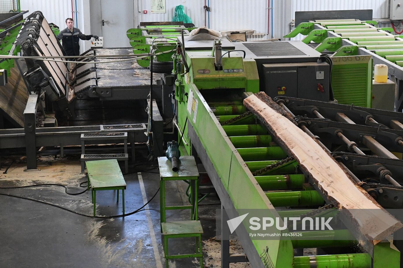 Russia Timber Industry