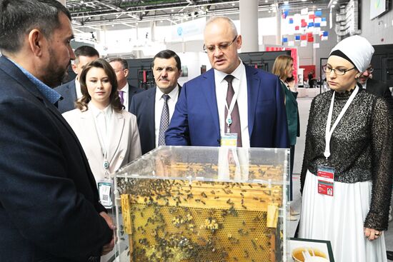KAZANFORUM 2023. Sidelines