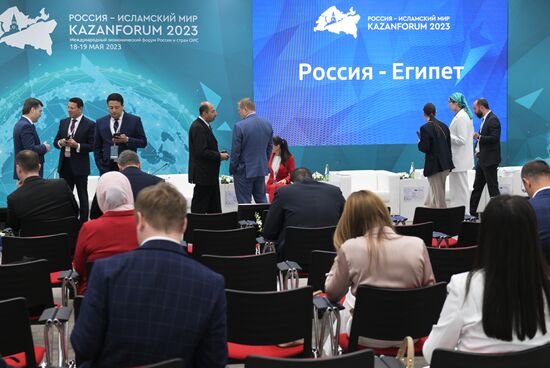 KAZANFORUM 2023. Russia-Egypt
