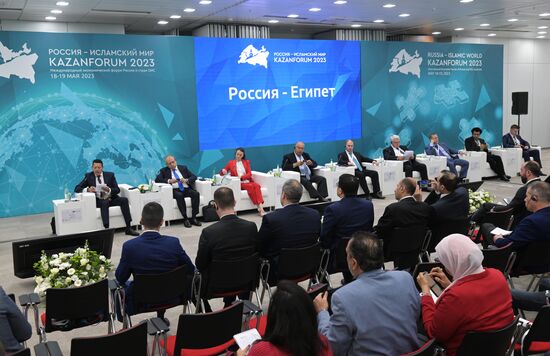 KAZANFORUM 2023. Russia-Egypt
