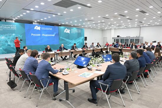 KAZANFORUM 2023. Russia-Indonesia