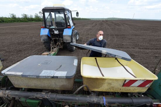 Russia DPR Sowing Campaign