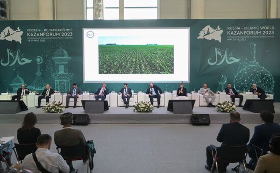 Hospitality by Halal Standards, a session during the 14th Russia - Islamic World: KazanForum international economic forum. Photos may be used subject to the terms in the forum-specific section of the media bank. Location: Russia, Republic of Tatarstan, Kazan. Author: Alexey Nikolskiy/ANO “Directorate for Sports and Social Projects”. KAZANFORUM 2023. Hospitality by Halal Standards