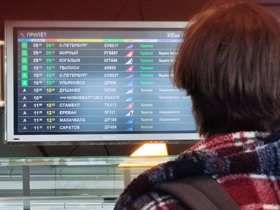 Russia Georgia Flights Resumption