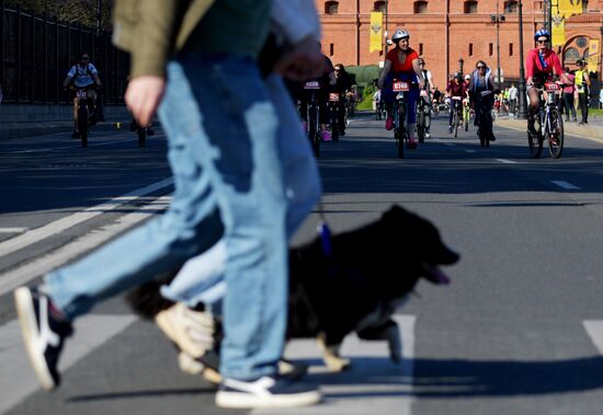 Russia Cycling Race