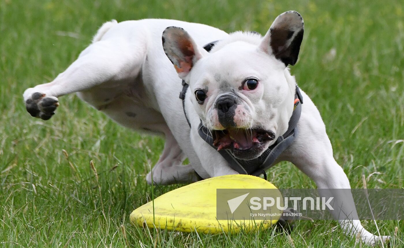 Russia Сynological Сompetitions