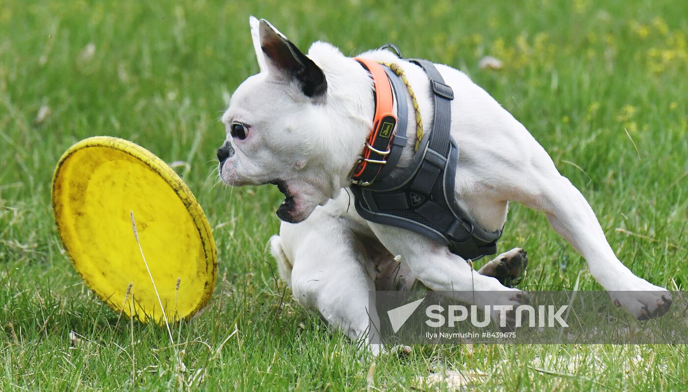 Russia Сynological Сompetitions