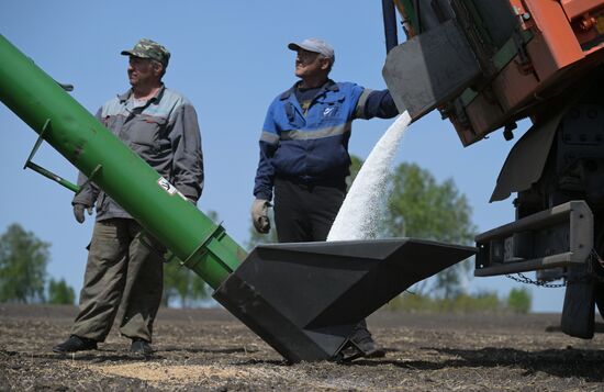 Russia Agriculture Sowing
