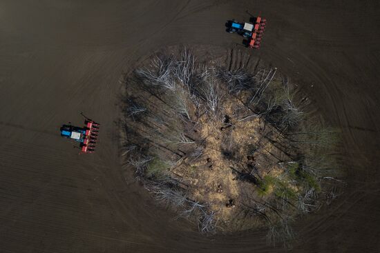 Russia Agriculture Sowing