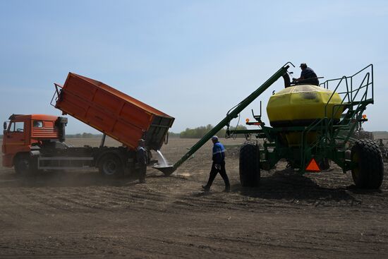 Russia Agriculture Sowing