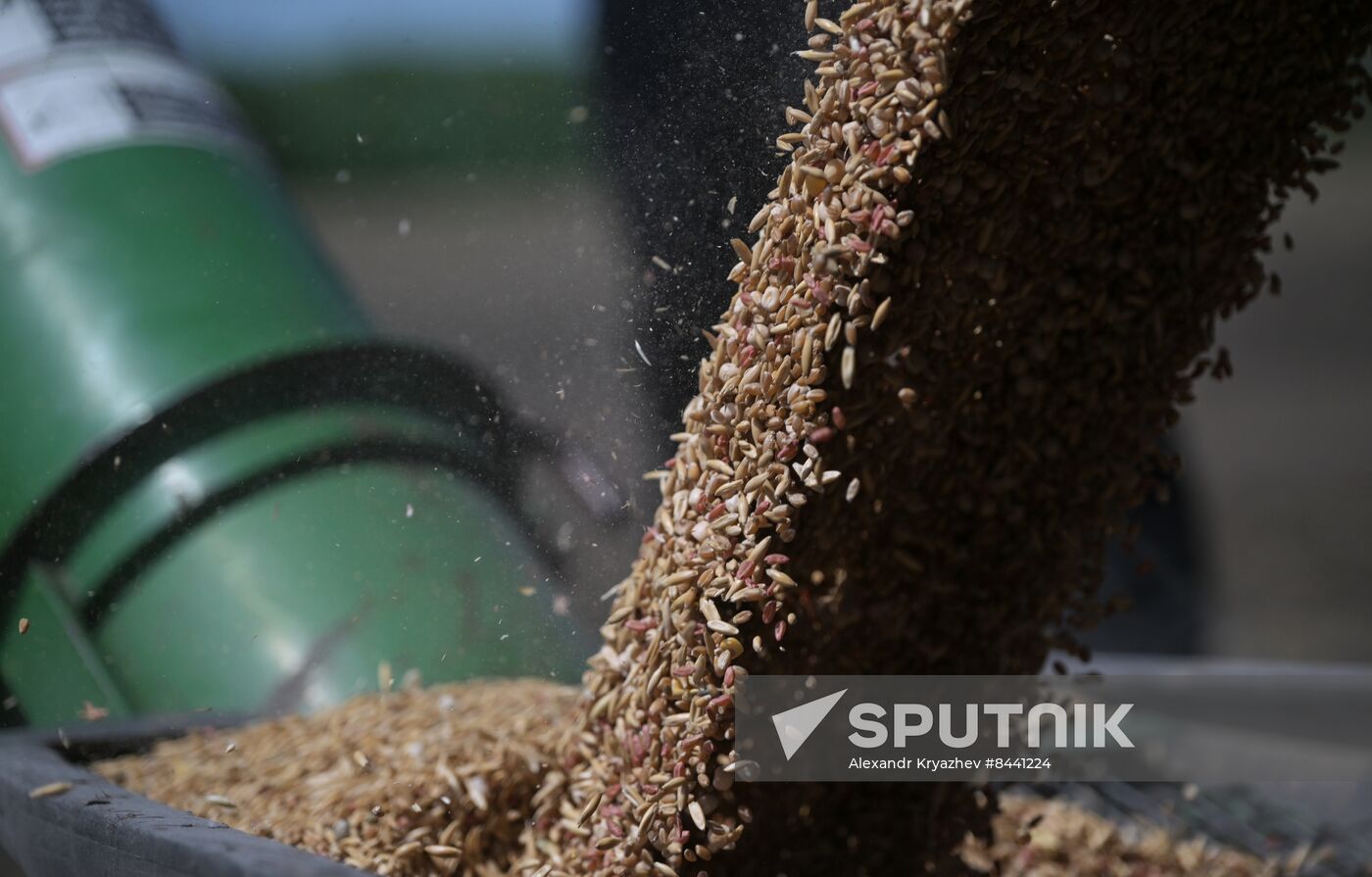 Russia Agriculture Sowing