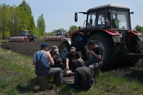 Russia Agriculture Sowing