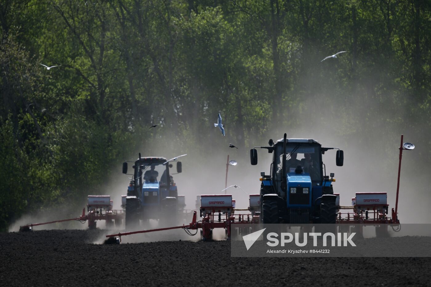 Russia Agriculture Sowing