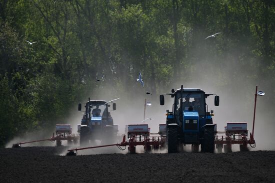 Russia Agriculture Sowing