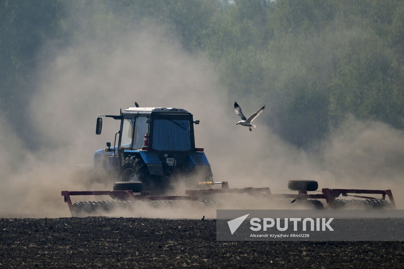 Russia Agriculture Sowing