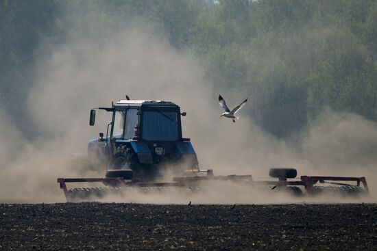 Russia Agriculture Sowing