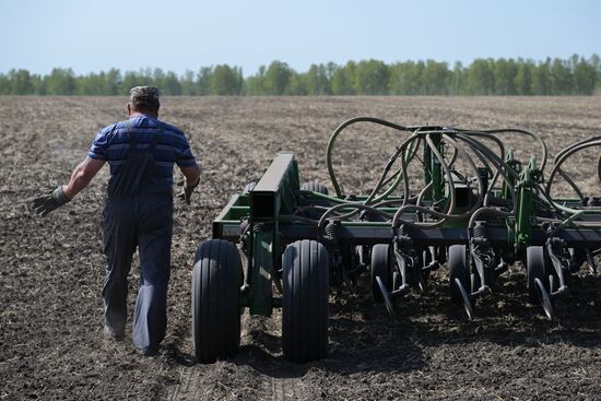 Russia Agriculture Sowing