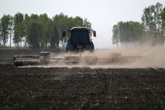 Russia Agriculture Sowing