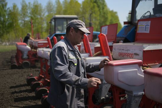 Russia Agriculture Sowing