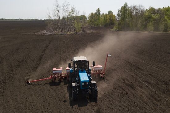 Russia Agriculture Sowing