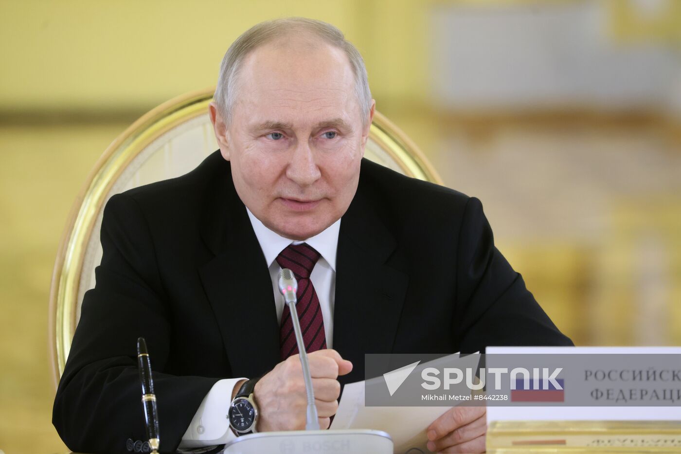 Russia Putin Supreme Eurasian Economic Council