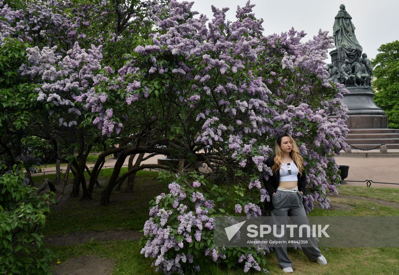 Russia Blooming Season