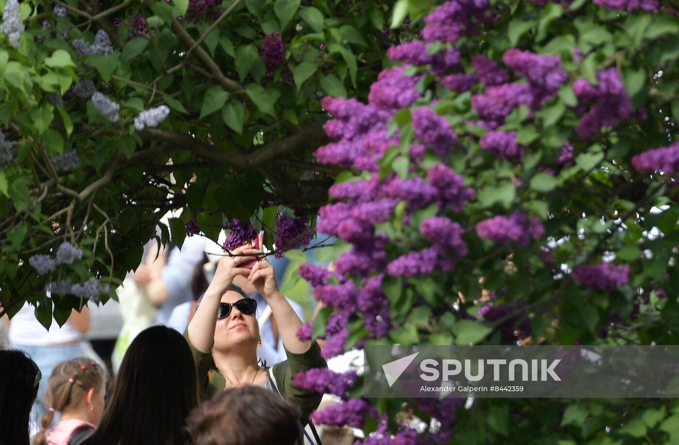 Russia Blooming Season