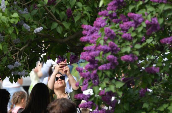 Russia Blooming Season
