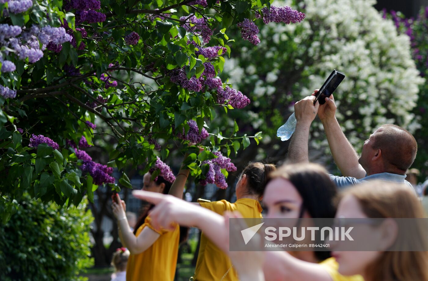 Russia Blooming Season